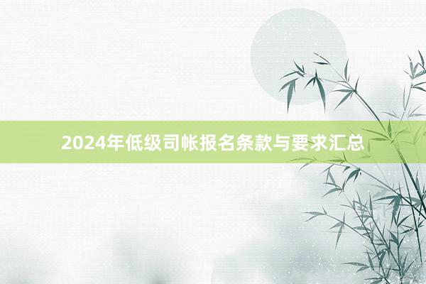 2024年低级司帐报名条款与要求汇总